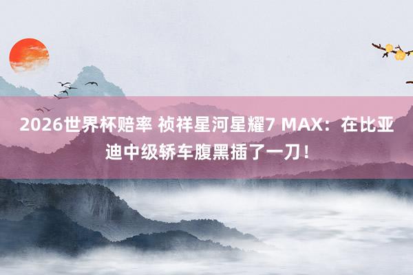 2026世界杯赔率 祯祥星河星耀7 MAX：在比亚迪中级轿车