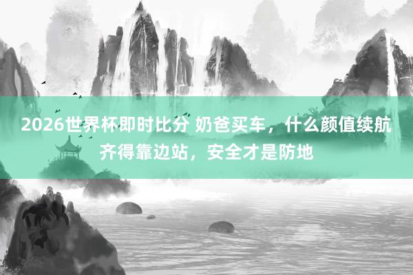 2026世界杯即时比分 奶爸买车，什么颜值续航齐得靠边站，安全才是防地