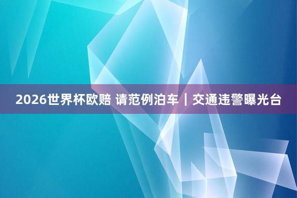 2026世界杯欧赔 请范例泊车｜交通违警曝光台