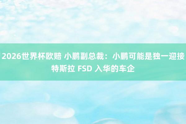 2026世界杯欧赔 小鹏副总裁：小鹏可能是独一迎接特斯拉 FSD 入华的车企