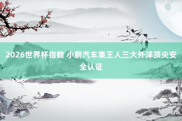 2026世界杯指数 小鹏汽车集王人三大外洋顶尖安全认证