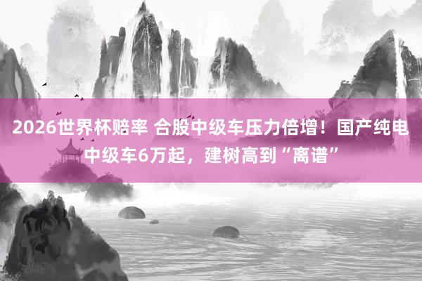 2026世界杯赔率 合股中级车压力倍增！国产纯电中级车6万起，建树高到“离谱”