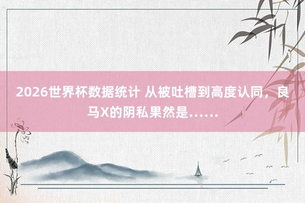2026世界杯数据统计 从被吐槽到高度认同，良马X的阴私果然是……