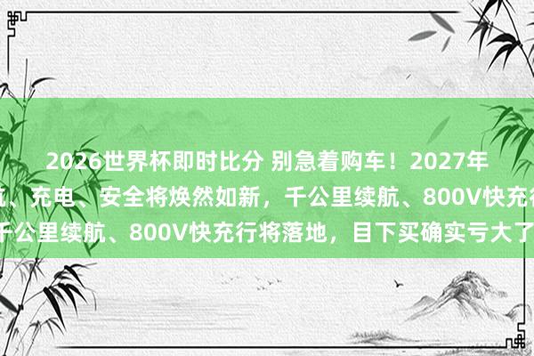 2026世界杯即时比分 别急着购车！2027年电车或迎全面翻