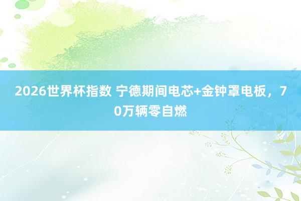 2026世界杯指数 宁德期间电芯+金钟罩电板，70万辆零自燃