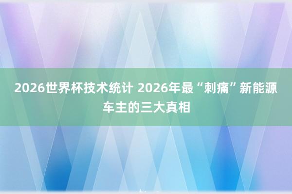 2026世界杯技术统计 2026年最“刺痛”新能源车主的三大真相