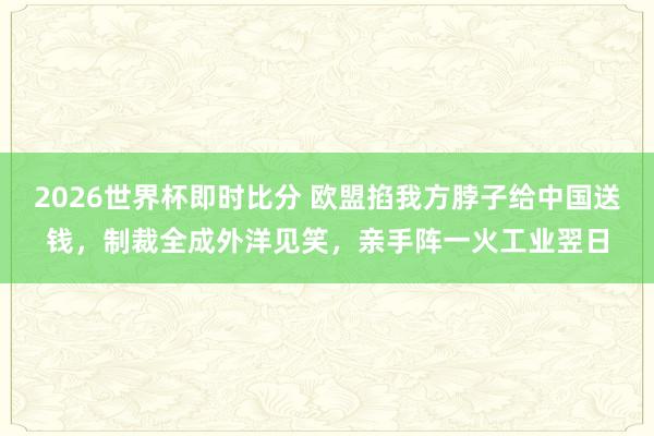 2026世界杯即时比分 欧盟掐我方脖子给中国送钱，制裁全成外洋见笑，亲手阵一火工业翌日