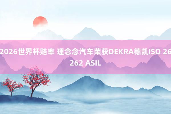 2026世界杯赔率 理念念汽车荣获DEKRA德凯ISO 26262 ASIL