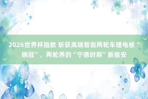 2026世界杯指数 斩获高端智能两轮车锂电板“销冠”，两轮界的“宁德时期”新能安