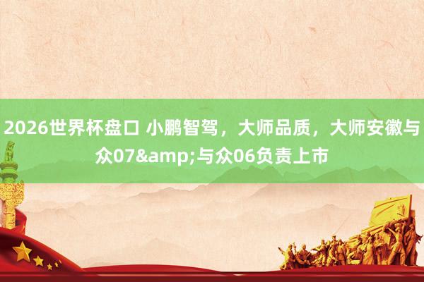 2026世界杯盘口 小鹏智驾，大师品质，大师安徽与众07&与众06负责上市