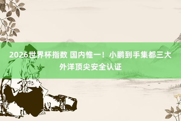 2026世界杯指数 国内惟一！小鹏到手集都三大外洋顶尖安全认证