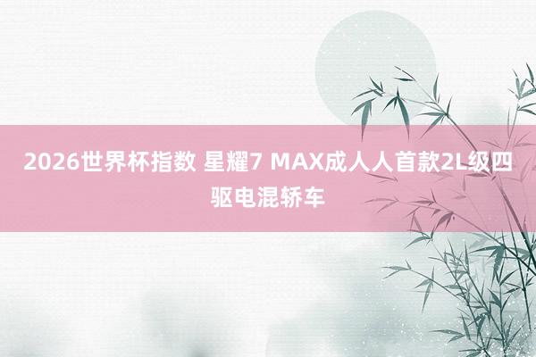 2026世界杯指数 星耀7 MAX成人人首款2L级四驱电混轿车