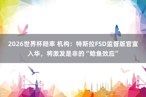 2026世界杯赔率 机构：特斯拉FSD监督版官宣入华，将激发是非的“鲶鱼效应”