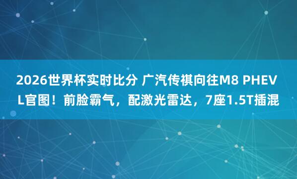 2026世界杯实时比分 广汽传祺向往M8 PHEV L官图！前脸霸气，配激光雷达，7座1.5T插混