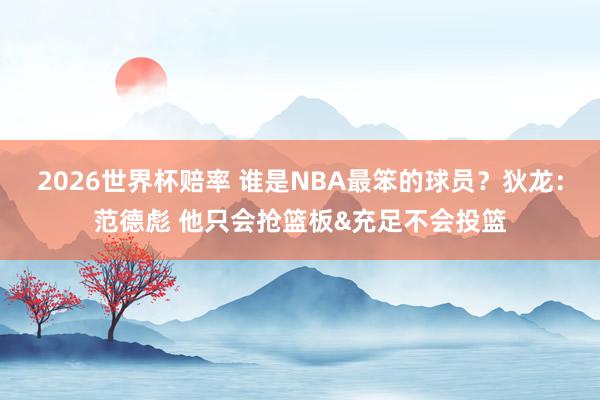 2026世界杯赔率 谁是NBA最笨的球员？狄龙：范德彪 他只会抢篮板&充足不会投篮