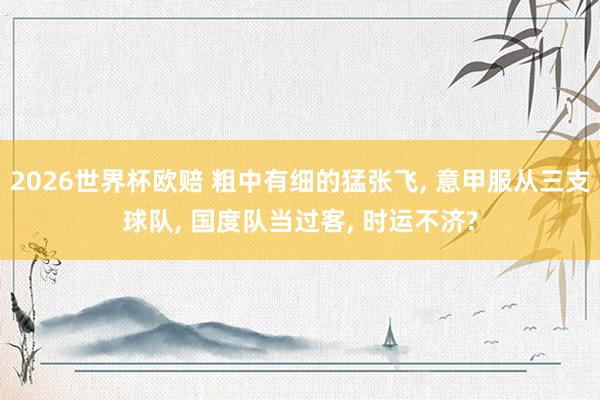 2026世界杯欧赔 粗中有细的猛张飞, 意甲服从三支球队, 国度队当过客, 时运不济?