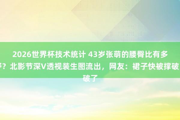 2026世界杯技术统计 43岁张萌的腰臀比有多野?北影节深V透视装生图流出,网友:裙子快被撑破了