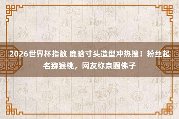 2026世界杯指数 鹿晗寸头造型冲热搜!粉丝起名猕猴桃,网友称京圈佛子