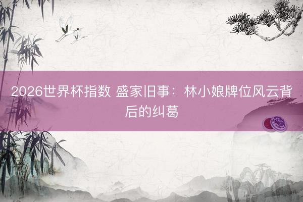 2026世界杯指数 盛家旧事：林小娘牌位风云背后的纠葛