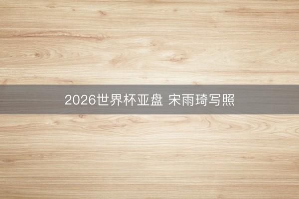 2026世界杯亚盘 宋雨琦写照