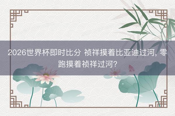 2026世界杯即时比分 祯祥摸着比亚迪过河, 零跑摸着祯祥过河?