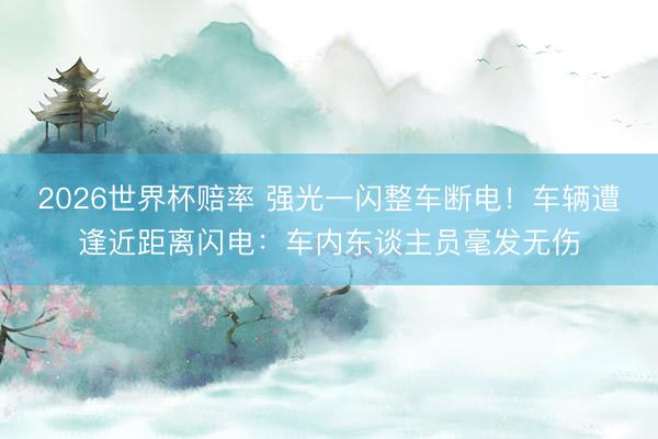 2026世界杯赔率 强光一闪整车断电!车辆遭逢近距离闪电:车内东谈主员毫发无伤
